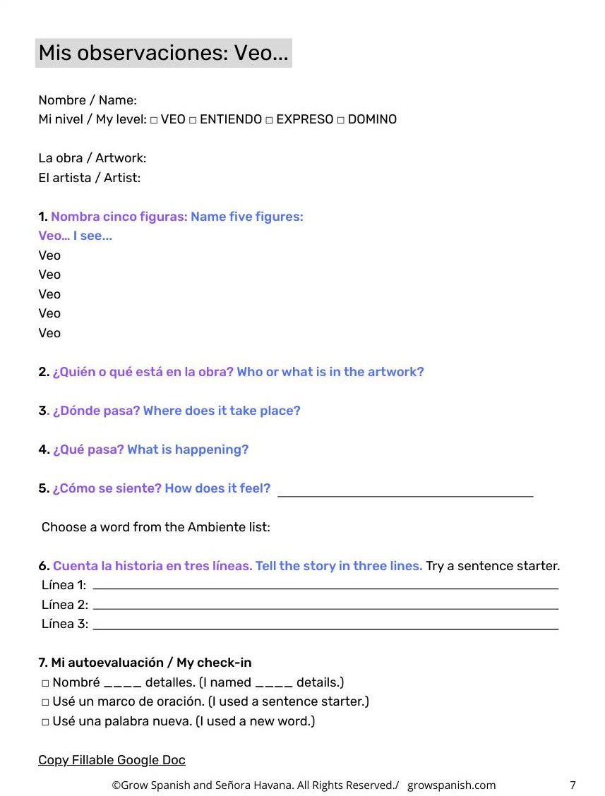 The student activity sheet: Mis observaciones, Veo